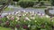 Tall bonsai trees and a garden of tulips and other ornamental flowers, surrounded by a mowed lawn, on a cloudy end of day