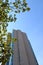 Tall Building through a maple tree