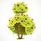 Tall bush with a lush crown of green summer leaves and purple berries vector drawing isolated on white