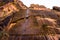 Tall cliffs along the Riverside Walk trail in Zion National Park