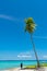 Tall coconut palms against tropical blue sky