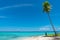 Tall coconut palms against tropical blue sky