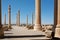 Tall columns in area of ruined city Persepolis