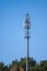 Tall communications tower in a forest..