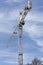 Tall construction crane with blue sky