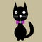 Tall cute black cat