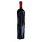 Tall dark wine bottle against white background