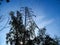 Tall electricity pylon against a blue sky