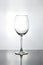 Tall empty curved wine glass with a tall thin stem