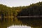 Tall Evergreens Reflected In The Water