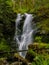 Tall Forest Waterfall