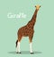 A tall giraffe illustration design on green background.