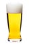 Tall glass of pilsner beer with head isolated
