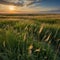 The tall grasses swaying in the wind, the wide-open sky, and the distant horizon