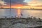 Tall Great blue heron Ardea herodias stands in front of a sunset