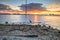 Tall Great blue heron Ardea herodias stands in front of a sunset