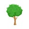 Tall Green Lime Tree Natural Landscape Design Element, Part Of Scenery In Nature Landscaping Constructor