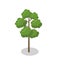 Tall green tree isometric 3D element