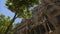 Tall green trees - Casa Batllo, Barcelona, Spain