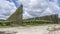 Tall green wind shield edges and kiwi cultivations, near Wakamarama, New Zealand