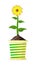 Tall healthy flower in a bright pot. Vector Illustration.