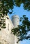 Tall Hermann tower and tree branches, Toompea, Governors garden, Tallinn