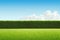 Tall long tree hedge with green grass and sky. Summer lawn backyard background. Generative AI.