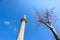 Tall minaret of mosque with a tree against blue sky