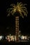 Tall palm tree with Christmas lights in Charleston, South Carolina.