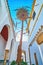 The tall palm tree in courtyard of San Bartolome Chapel, Cordoba, Spain