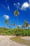 Tall palm trees on La Sagesse beach