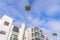 Tall palm trees at the neighborhood in San Clemente, California