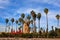 Tall palms and Moroccan flags by minaret