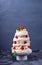 Tall Pavlova cake with whipped cream and strawberry