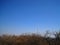 TALL RED AND WHITE MAST CONTRASTING WITH BARE BRANCHES OF DISTANT TREES