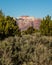 Tall red and white sandstone mesa in Zion framed by green pinyon and juniper trees