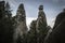 Tall Rocks rising among coniferous trees