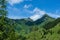 A tall rope adventure park with a treetop walk in the Saalbach-Hinterglemm valley