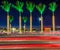 Tall royal palms decorated for Christmas with red tail lights speed by