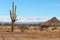 Tall Saguaro Cactus with Snowy Mountain Backdrop