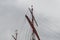 Tall Sailing Ship`s Masts, Yardarms and Rigging
