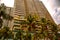 Tall skyscrapers, walkways and beautiful palm trees. Palm trees planted along the road, the tropics