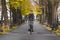 Tall smiling guy of European appearance in glasses, with a yellow scarf and a gray jacket rides a Bicycle along the Avenue of the