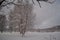 Tall snow covered tree in winter