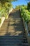 Tall split two platform staircase with metal hand rails green and side trees and foliage in downtown city near park