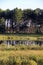 Tall straight poplar trees reflected in pong in southern Manitoba