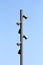 Tall strong metal pole with multiple light reflectors mounted on all sides