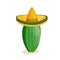 Tall succulent cactus with thorns in a wide-brimmed mexican sombrero hat isolated element. Vector illustration for icon