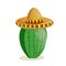 Tall succulent cactus with thorns in a wide-brimmed mexican sombrero hat isolated element. Vector illustration for icon