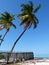 Tall, swaying palms, pristine beach, turquoise sea Jambiani, Zanzibar